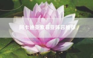 阿卡迪亚索菲亚阵容推荐
