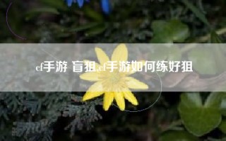 cf手游 盲狙,cf手游如何练好狙