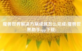 魔兽世界解决方案成就怎么完成(魔兽世界助手app下载)