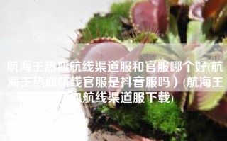 航海王热血航线渠道服和官服哪个好(航海王热血航线官服是抖音服吗）(航海王热血航线渠道服下载)