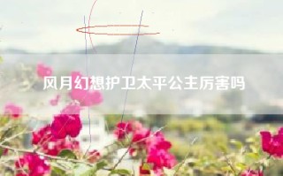 风月幻想护卫太平公主厉害吗