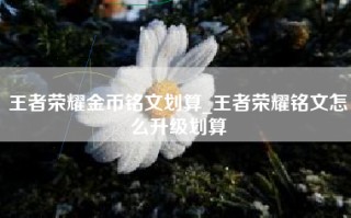 王者荣耀金币铭文划算_王者荣耀铭文怎么升级划算