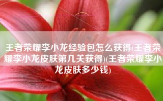 王者荣耀李小龙经验包怎么获得(王者荣耀李小龙皮肤第几关获得)(王者荣耀李小龙皮肤多少钱)