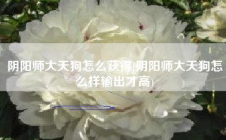 阴阳师大天狗怎么获得(阴阳师大天狗怎么样输出才高)
