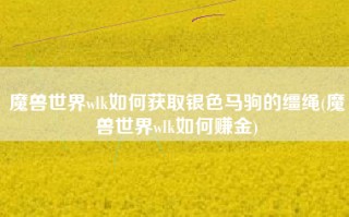 魔兽世界wlk如何获取银色马驹的缰绳(魔兽世界wlk如何赚金)