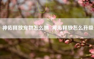 神佑释放宠物怎么抓 (神佑释放怎么升级)