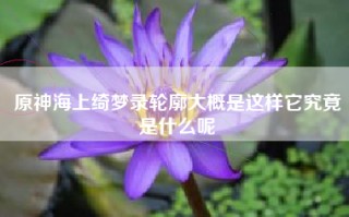 原神海上绮梦录轮廓大概是这样它究竟是什么呢