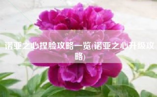 诺亚之心捏脸攻略一览(诺亚之心升级攻略)