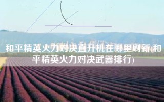 和平精英火力对决直升机在哪里刷新(和平精英火力对决武器排行)
