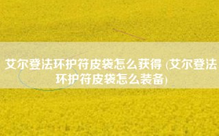 艾尔登法环护符皮袋怎么获得 (艾尔登法环护符皮袋怎么装备)