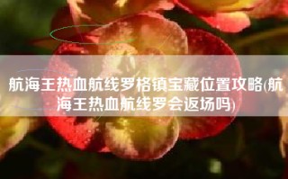 航海王热血航线罗格镇宝藏位置攻略(航海王热血航线罗会返场吗)