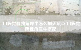 口袋觉醒独角犀牛怎么加天赋点(口袋觉醒独角犀牛搭配)