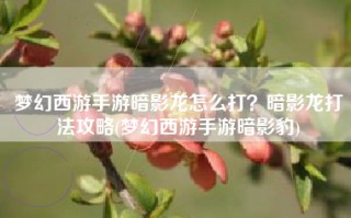 梦幻西游手游暗影龙怎么打？暗影龙打法攻略(梦幻西游手游暗影豹)