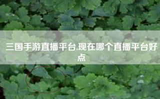 三国手游直播平台,现在哪个直播平台好点