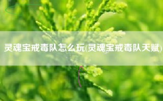 灵魂宝戒毒队怎么玩(灵魂宝戒毒队天赋)