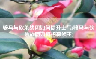 骑马与砍杀战团如何提升士气(骑马与砍杀战团如何招募领主)