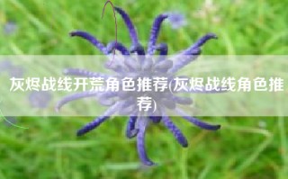 灰烬战线开荒角色推荐(灰烬战线角色推荐)