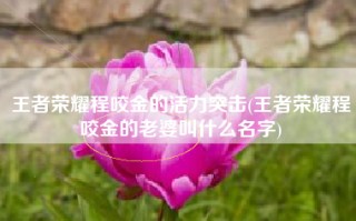 王者荣耀程咬金的活力突击(王者荣耀程咬金的老婆叫什么名字)