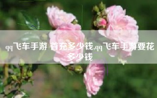 qq飞车手游 首充多少钱,qq飞车手游要花多少钱