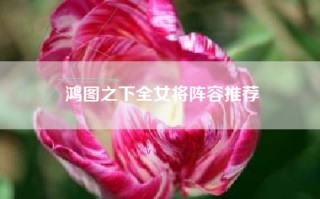 鸿图之下全女将阵容推荐