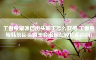 王者荣耀韩信街头霸王怎么获得(王者荣耀韩信街头霸王会出现在碎片商店吗)
