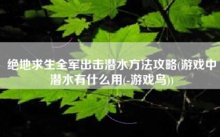绝地求生全军出击潜水方法攻略(游戏中潜水有什么用(-游戏鸟))