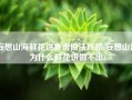 妄想山海鲜花饼食谱做法攻略(妄想山海为什么鲜花饼做不出)