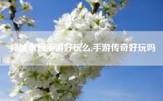 神域永恒手游好玩么,手游传奇好玩吗