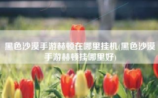 黑色沙漠手游赫顿在哪里挂机(黑色沙漠手游赫顿挂哪里好)