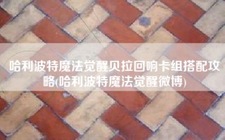 哈利波特魔法觉醒贝拉回响卡组搭配攻略(哈利波特魔法觉醒微博)