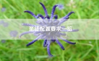 圣徒配置要求一览