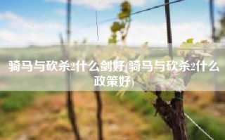 骑马与砍杀2什么剑好(骑马与砍杀2什么政策好)