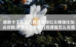 跑跑卡丁车官方竞速版绯红尖峰强化加点攻略(跑跑卡丁车官方竞速版怎么充值不了)