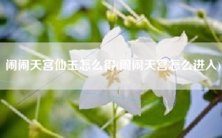 闹闹天宫仙玉怎么得(闹闹天宫怎么进入)