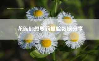 龙族幻想萝莉捏脸数据分享