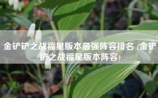 金铲铲之战福星版本最强阵容排名 (金铲铲之战福星版本阵容)