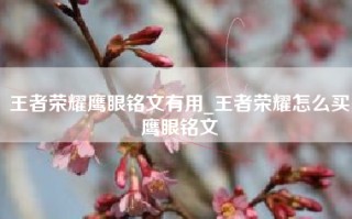 王者荣耀鹰眼铭文有用_王者荣耀怎么买鹰眼铭文