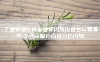 王者荣耀孙尚香音你闪耀语音台词有哪些(王者荣耀孙尚香音你闪耀)