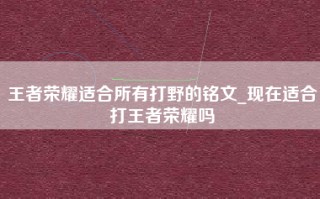 王者荣耀适合所有打野的铭文_现在适合打王者荣耀吗