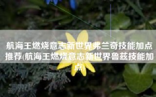 航海王燃烧意志新世界弗兰奇技能加点推荐(航海王燃烧意志新世界鲁兹技能加点)