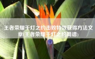 王者荣耀千灯之约击败特效获得方法文章(王者荣耀千灯之约简谱)