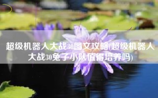 超级机器人大战30图文攻略(超级机器人大战30兔子小队值得培养吗)