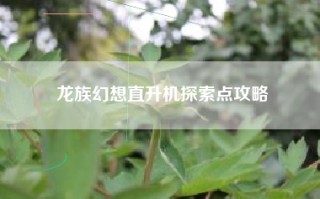 龙族幻想直升机探索点攻略