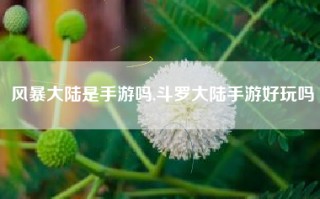 风暴大陆是手游吗,斗罗大陆手游好玩吗