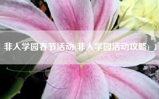 非人学园春节活动(非人学园活动攻略)_1