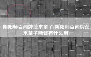 阴阳师百闻牌茨木童子(阴阳师百闻牌茨木童子断臂有什么用)