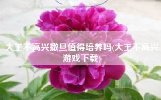 大王不高兴撒旦值得培养吗(大王不高兴游戏下载)