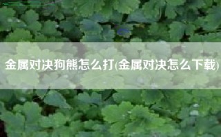 金属对决狗熊怎么打(金属对决怎么下载)
