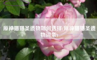 原神猫猫圣遗物如何选择(原神猫猫圣遗物词条)