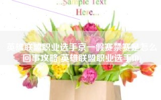 英雄联盟职业选手京一假赛禁赛是怎么回事攻略(英雄联盟职业选手ID)